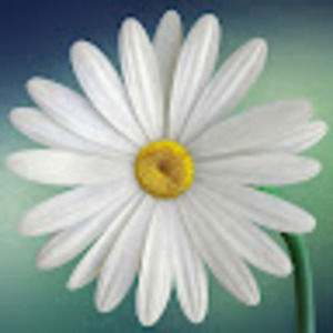 Meet your Posher, Cassandra